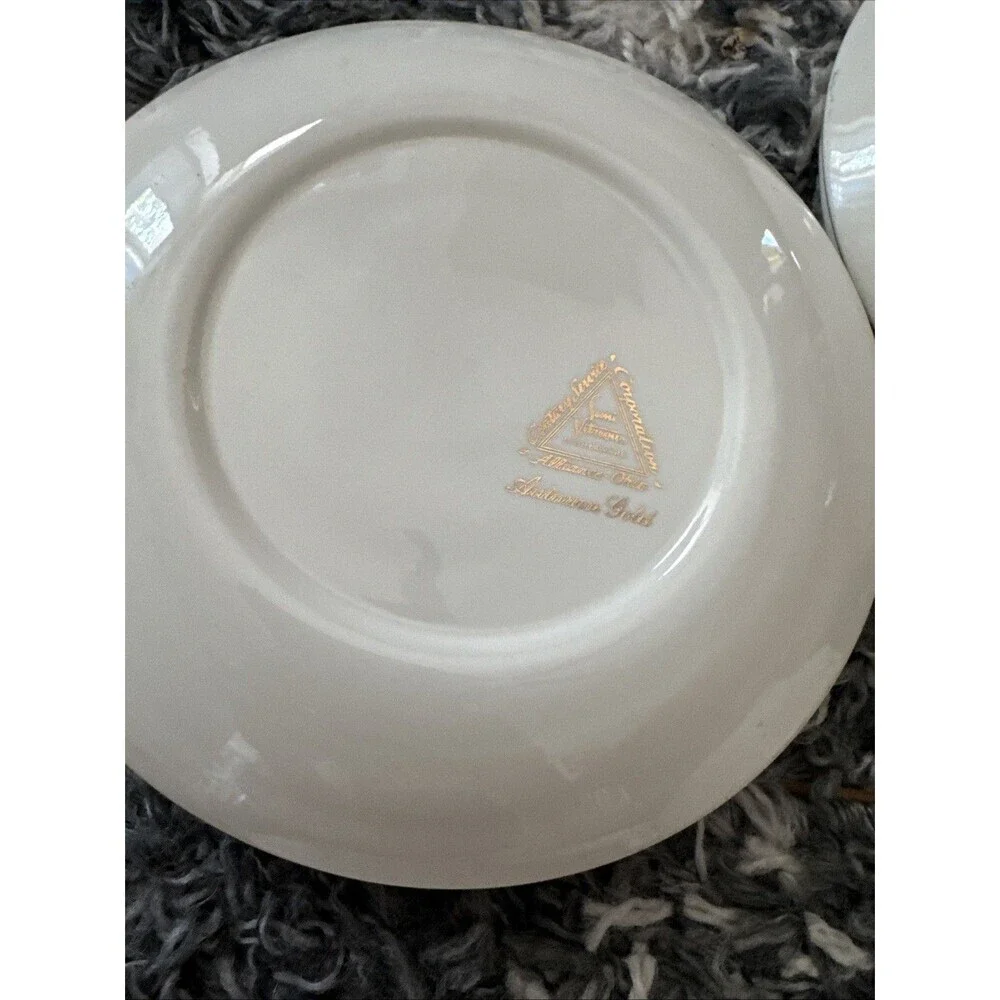 20 Piece Century Service Corp Autumn Gold Dinner Plate Plates and Bowls